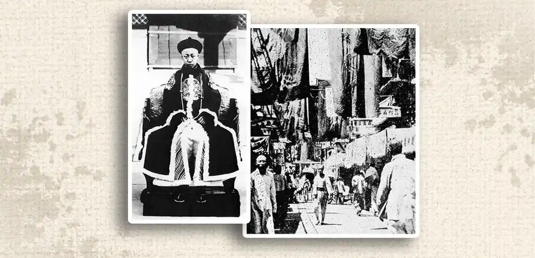 (四)张勋复辟与护法运动