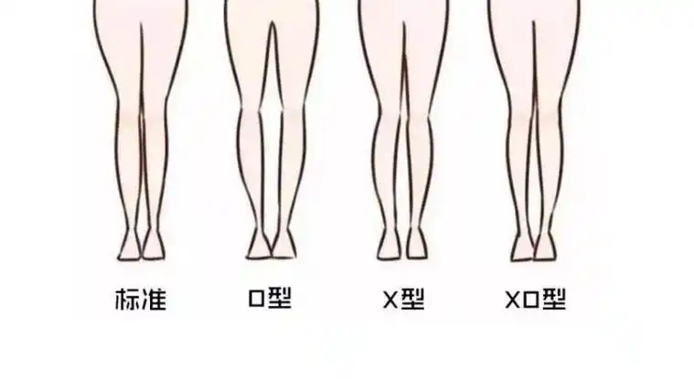 标准腿型
