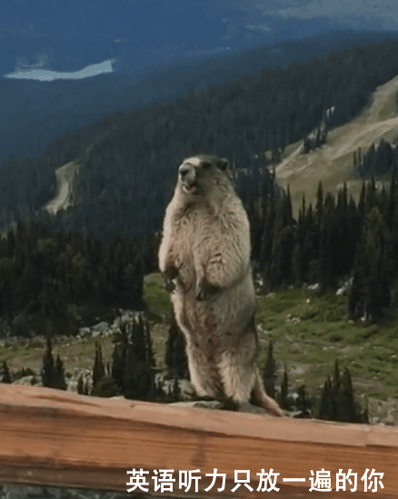 高考英语听力只放一遍的你gif动图_动态图_表情包下载_soogif