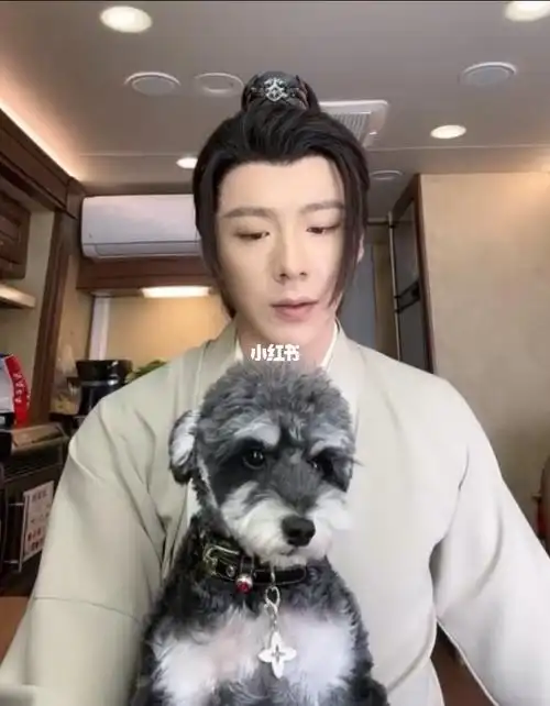 摩登兄弟刘宇宁  #向全世界安利刘宇宁  #刘呆米