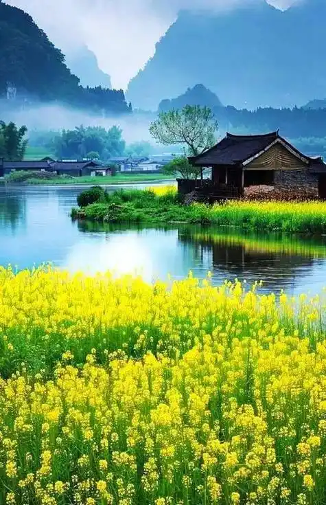 一组春天的美景