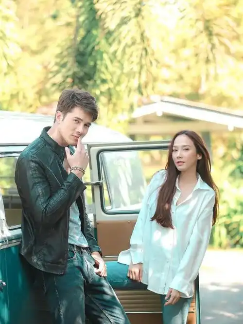 安徽卫视海豚泰精彩新剧定档