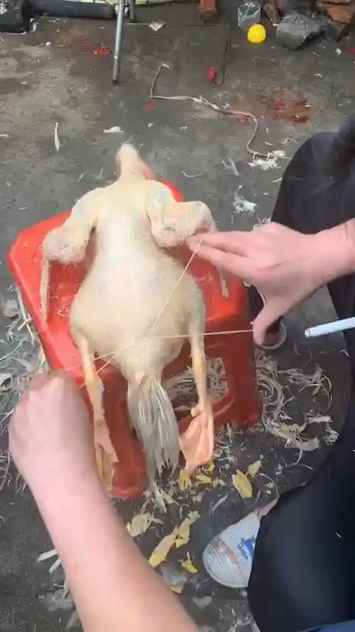 这样拔鸡毛真的快吗