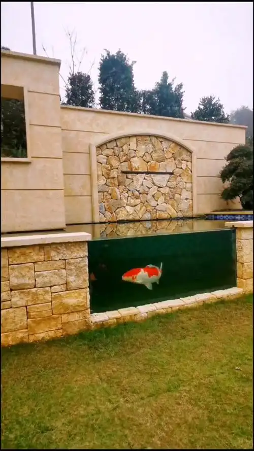 庭院鱼池设计图片大全