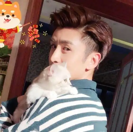 微信头像张云龙