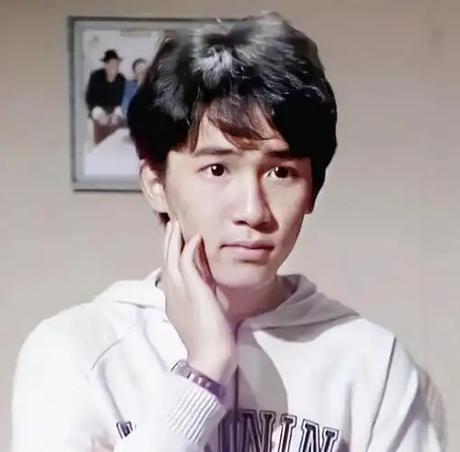 为什么大家总说刘德华比不上梁朝伟仅仅只要为奖项吗