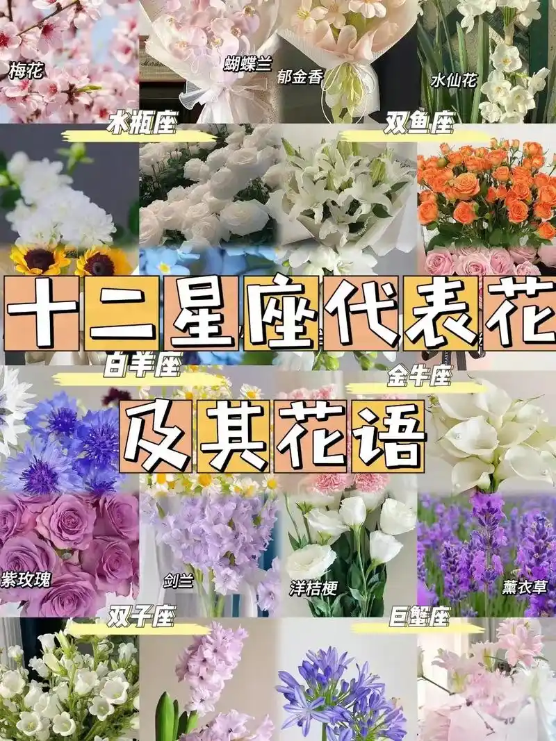 十二星座代表花及其花语#花与生活 #一束花的仪式感 #爱生活 - 抖音
