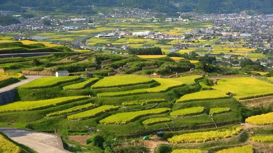 唯美风景|第二期