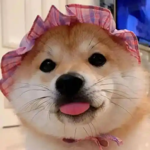 可爱小动物头像