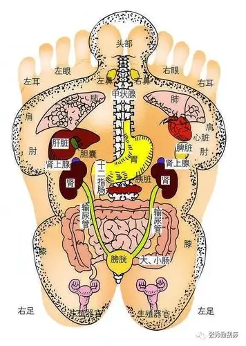 预防刮痧应对老年性痴呆有妙招