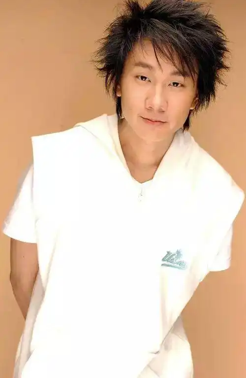 江南林俊杰王力宏,也是从小跟音乐在一起唯一王力宏刚出道的shesheros