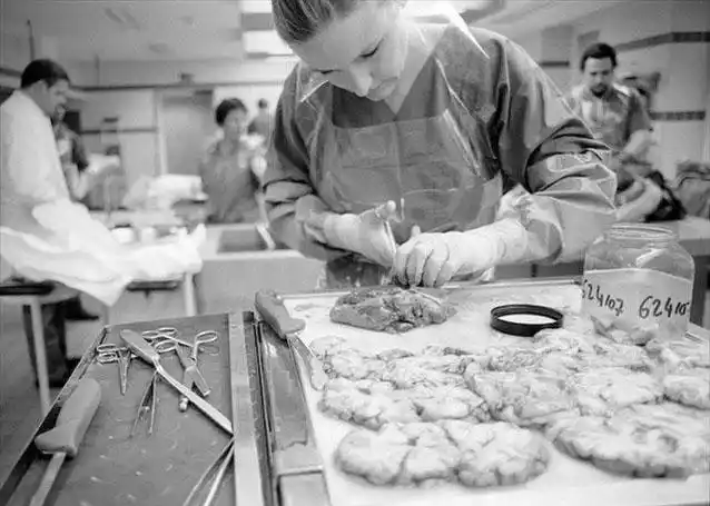 揭秘真实法医解剖室(组图)