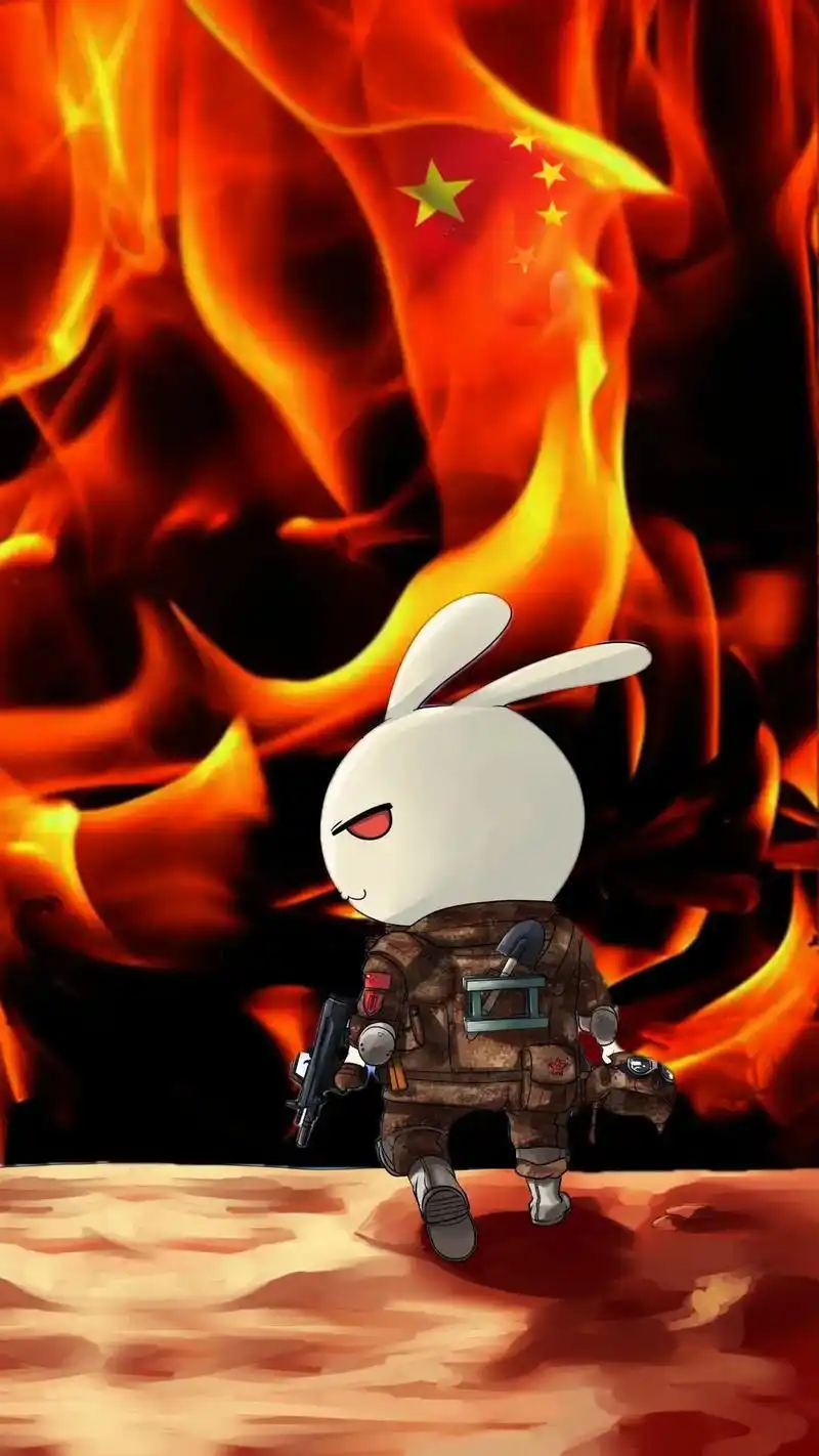 那年那兔那些事 #壁纸 所谓的岁月静好,是因为有人替我们负 - 抖音