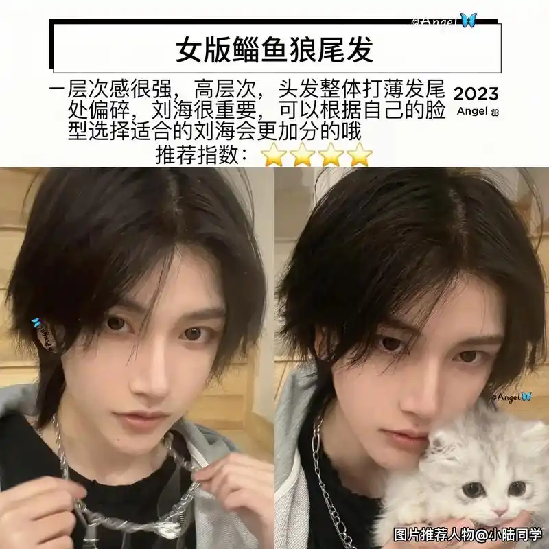 不剪一次鲻鱼狼尾你都不知道自己有多帅.