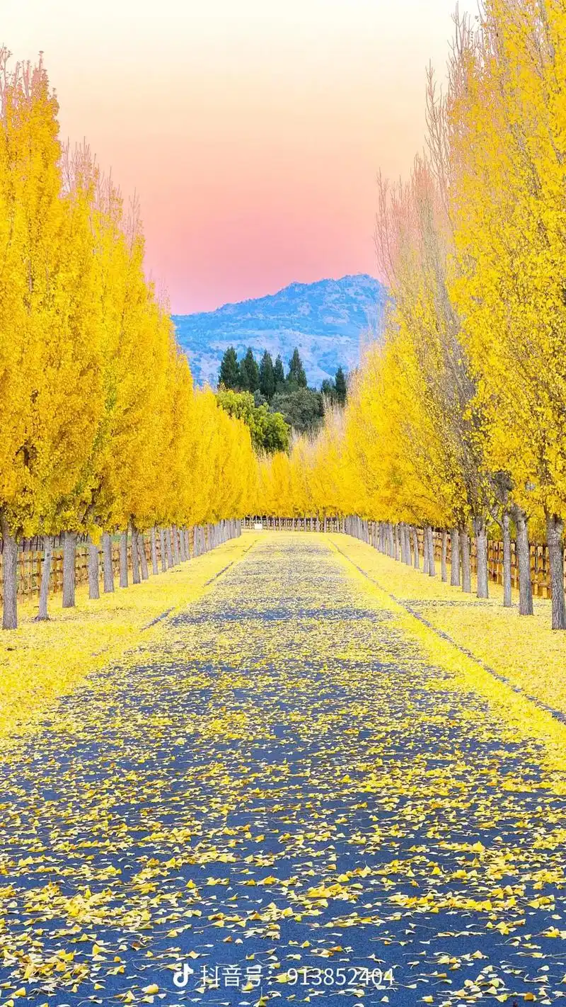 #自然风景 #唯美意境 忽有故人心上过,回首山河已是冬, - 抖音