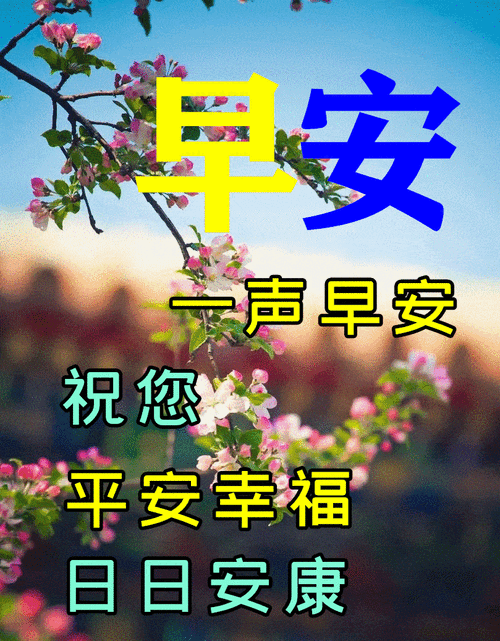 微信漂亮早上好问候图片鲜花带字最新早安祝福朋友的短信表情图片动态