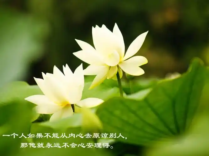 【引用】中国佛教禅语(一)