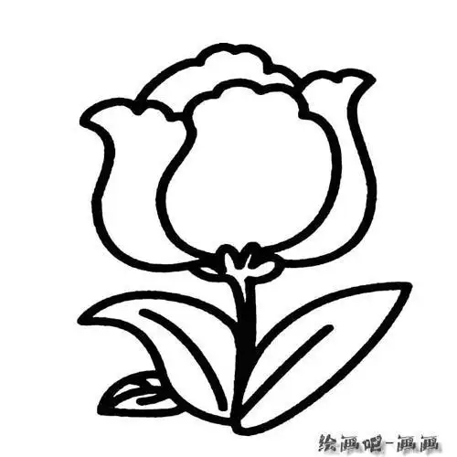 花朵植物花简笔画步骤图片大全