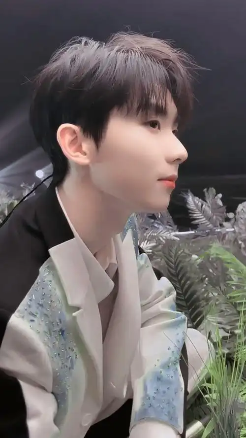 马嘉祺 侧颜定理