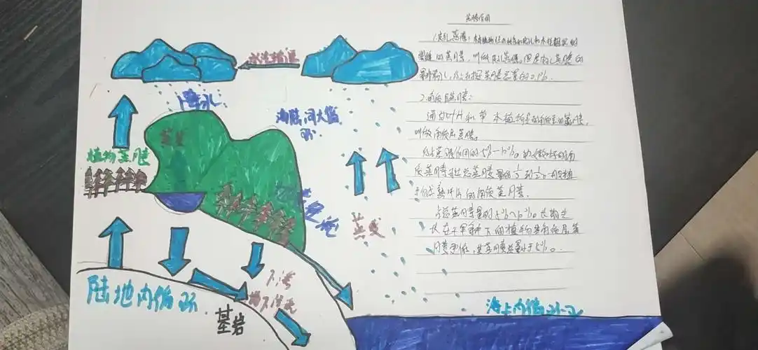 7年5班生物第四期手抄报:蒸腾作用与水循环