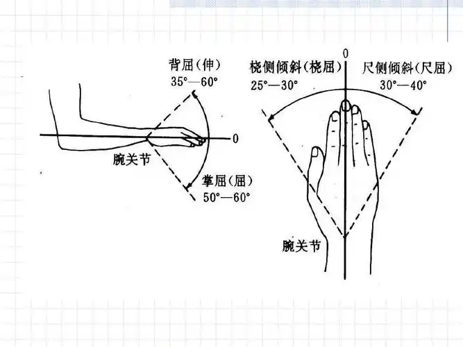 骨与关节检查-各部位检查-腕和手部检查法ppt