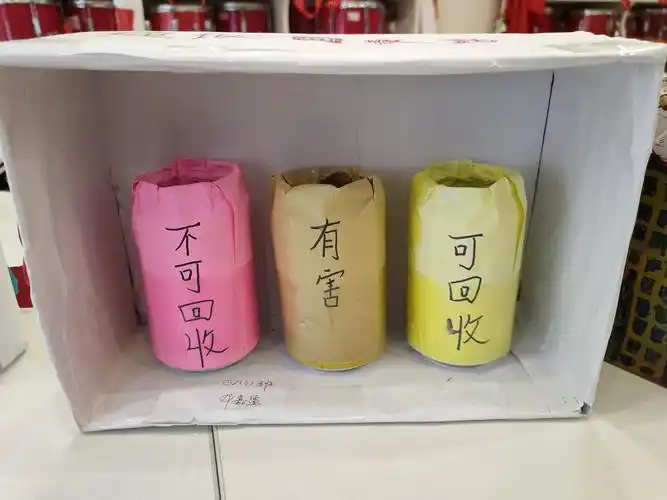 桃源小学学生垃圾分类变废为宝作品选登
