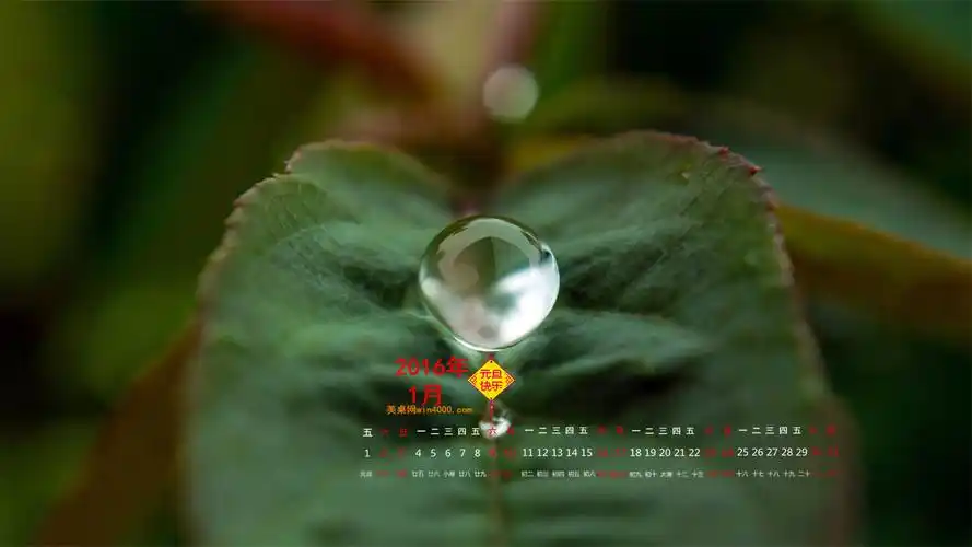 2016年1月精选水珠桌面壁纸下载