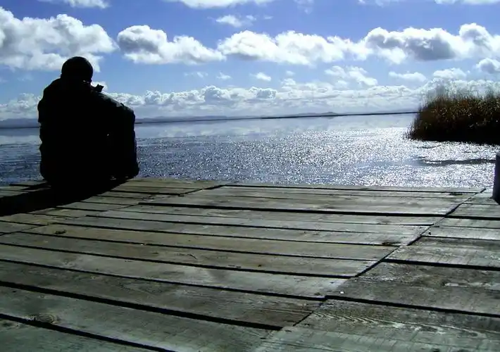 一个人发呆.花湖!