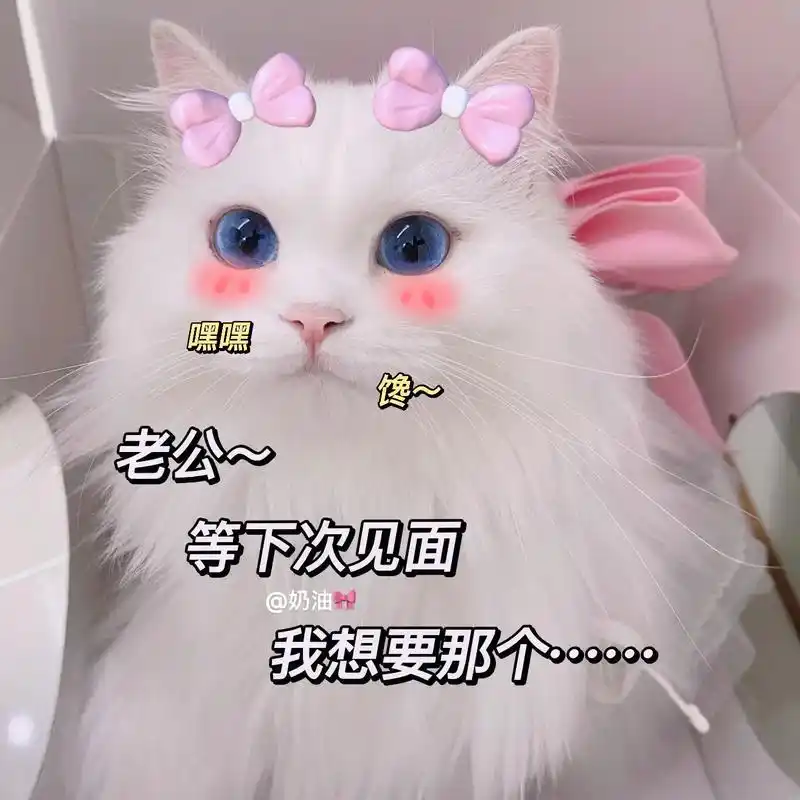 宝贝你能懂我的意思对吧.#猫咪表情包 #艾特你想要艾特的人  - 抖音