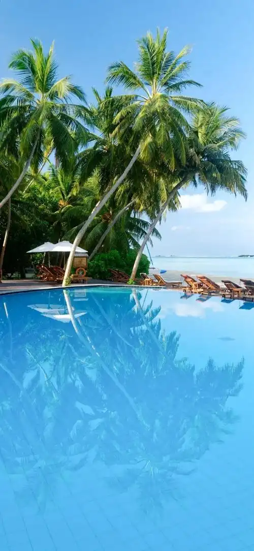 壁纸##手机壁纸##高清壁纸