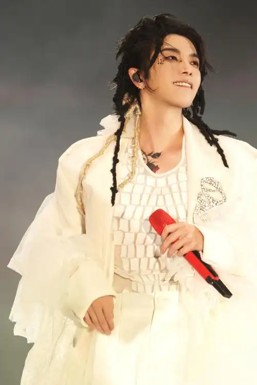 华晨宇的发际线