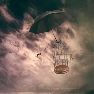 鸟瞰图笼中鸟-华图科墨西哥美丽的鸟在笼子里刺绣火烈鸟, 棕榈树和