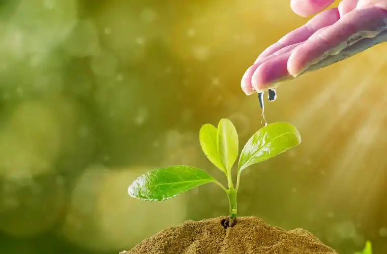 萌动的春天 - 唯美摄影作品 - 图虫