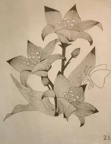 "跟着点线去散步"21天作品回顾