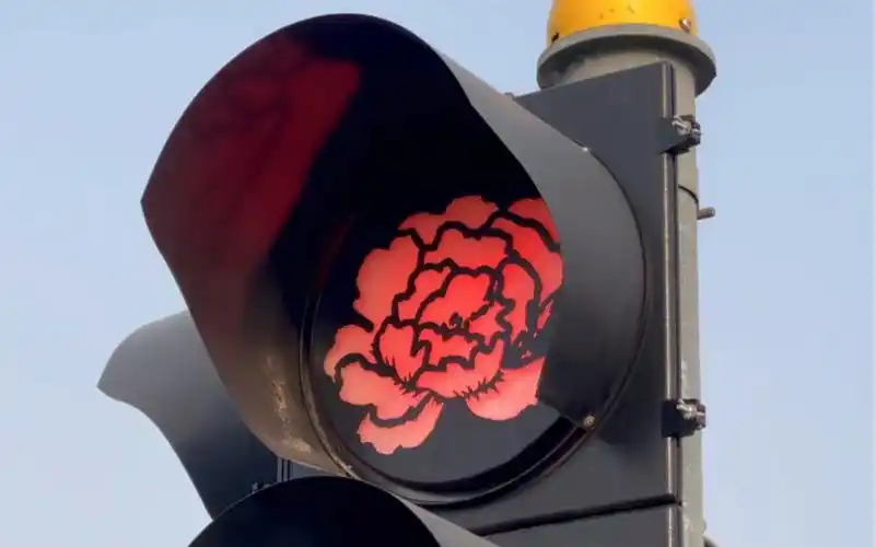 惊艳!洛阳洛阳部分信号灯变成牡丹信号灯