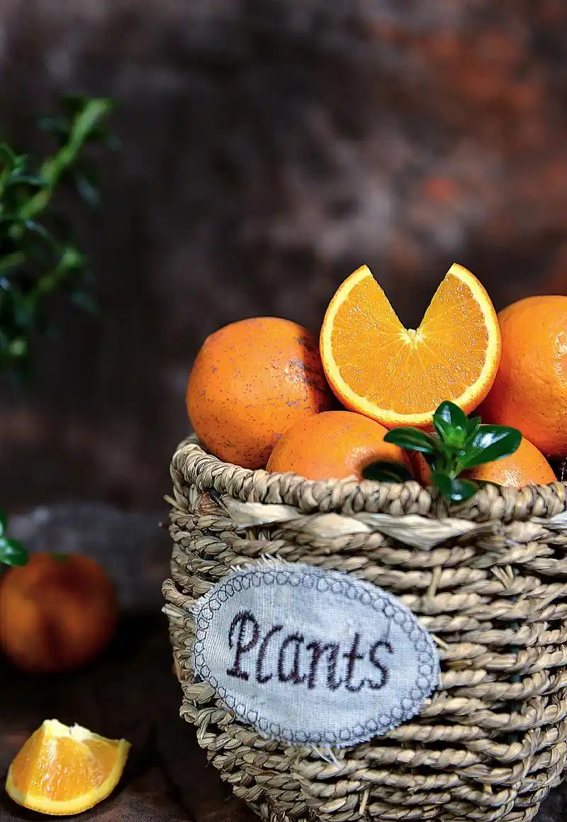 橙子|摄影|产品摄影|韩摄食觉 - 原创作品 - 站酷 (zcool)