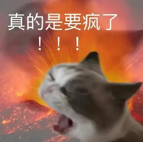 爆炸猫猫表情包大全 爆炸猫猫表情包抖音版