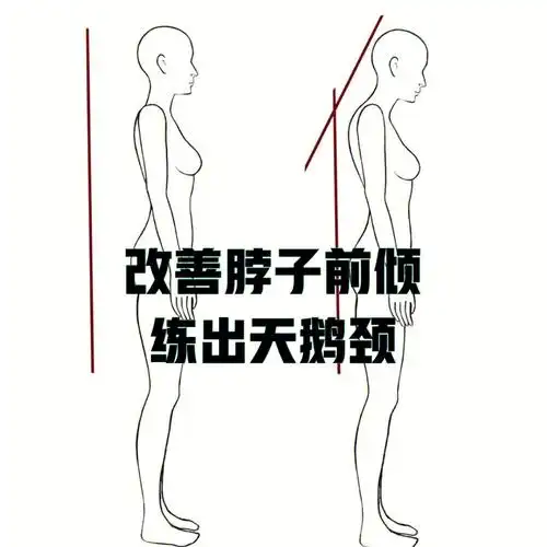 干货分享30天告别颈椎疼痛脖子前倾