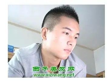 男生莫西干式**头短发 莫西干短发,**头短发,莫西干 _ 图片网