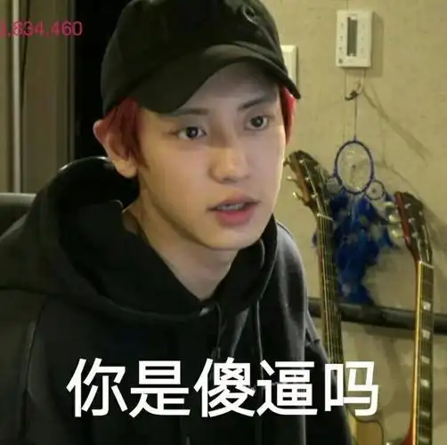 exo表情包朴灿烈chanyeol