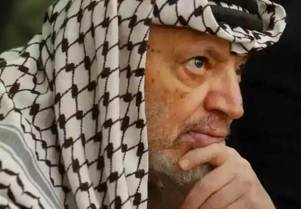 现实版农夫与蛇科威特曾接纳40万巴勒斯坦人为何遭到巴解背叛