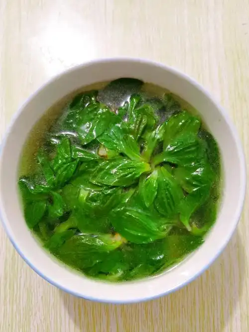 搜索: 车前草 | 为您找到 6 个结果