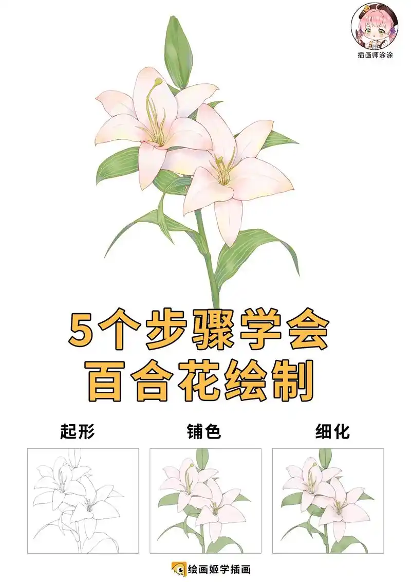 百合花的绘制技巧,5个小步骤.#插画教程 #水彩花卉 #插画 - 抖音