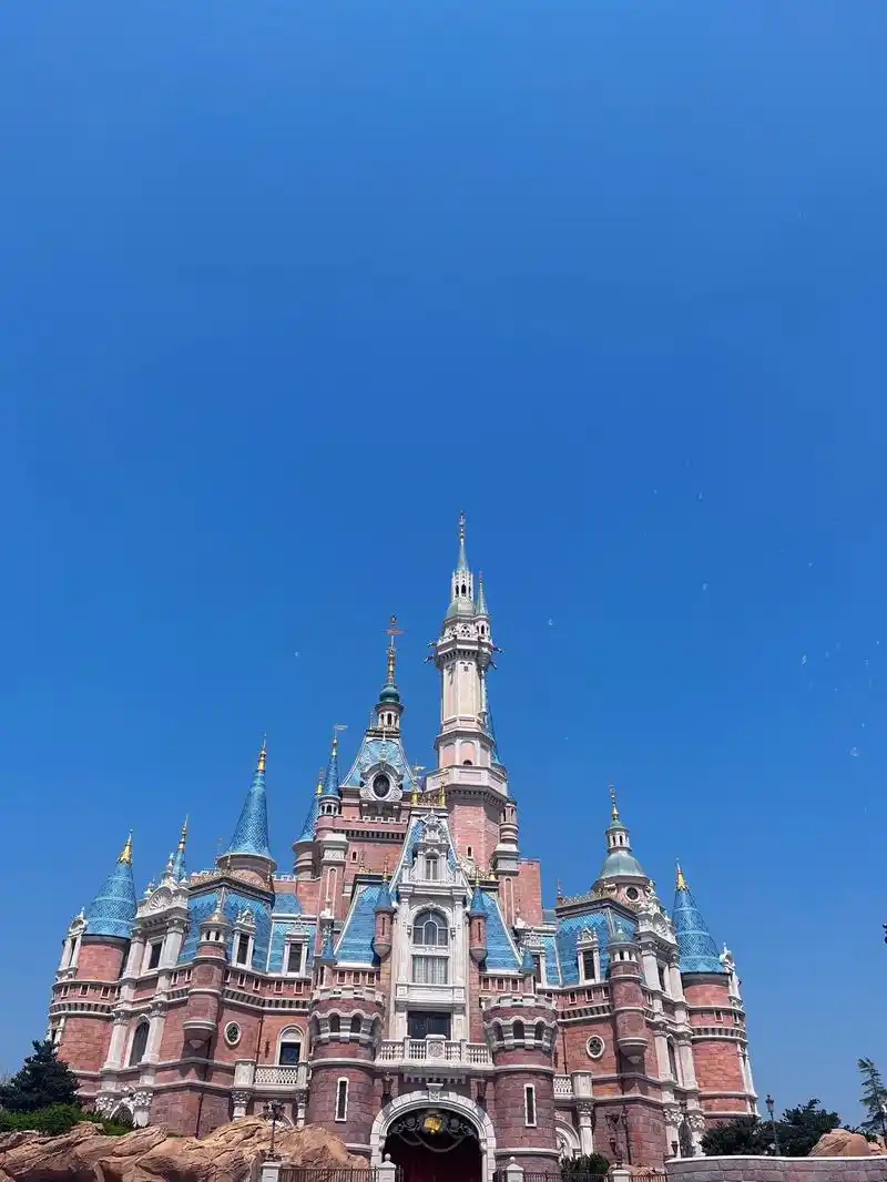 上海迪士尼 #城堡98 发完这组照片合集就收心啦.迪士尼很 - 抖音