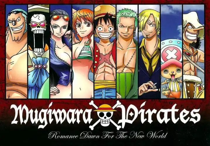 请给我几张高清的海贼王全体成员的图片,记住,高清的