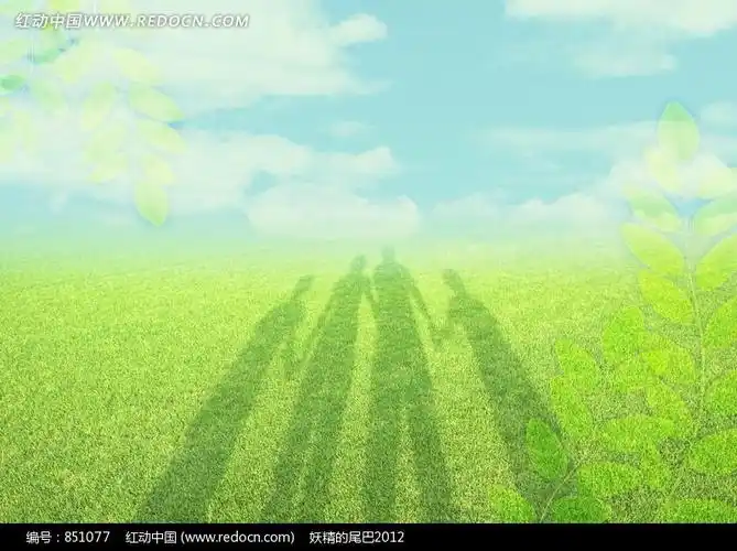 绿色草地上一家四口牵手的影子