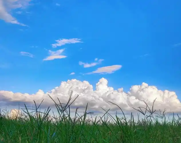 只想安静的躺在草坪上呼吸着大自然带给你的味道