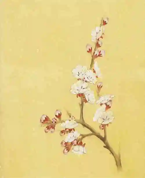 工笔彩墨——杏花画法,喜欢收藏_中国画_零二七艺考