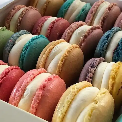 丽水甜品 #马卡龙