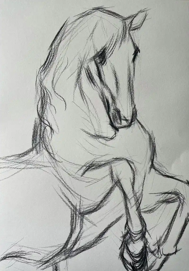 这几天一直耽搁没画画,今天挤了点时间来画个白马王子.